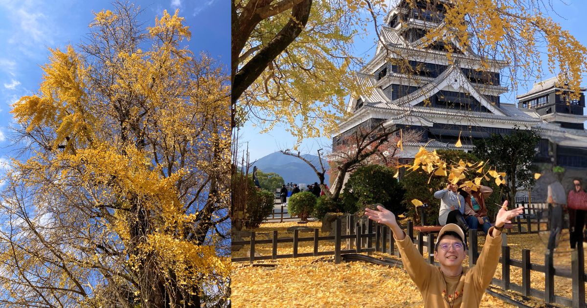 熊本自由行-熊本景點-熊本一日遊-熊本城秋天