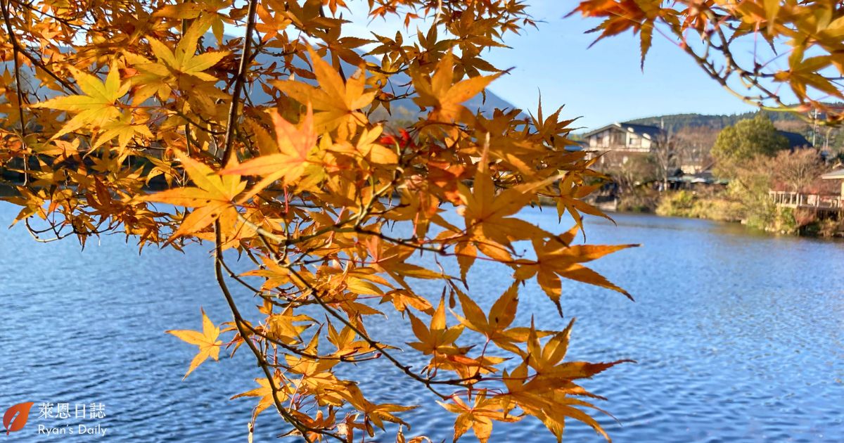 由布院-金鱗湖-由布院景點-金鱗湖楓葉