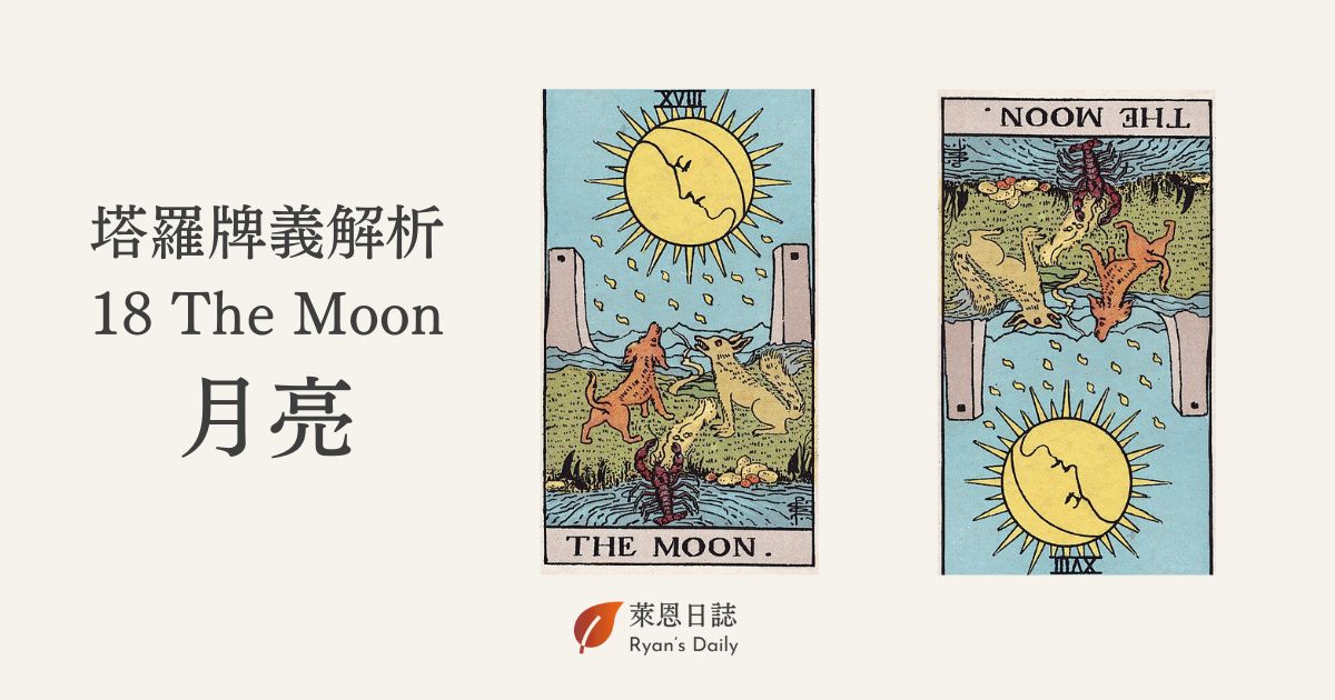 塔羅牌義解析18 The Moon月亮